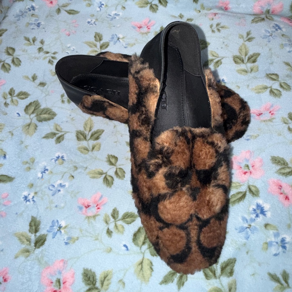Cozy Coach Signature Shearling/Faux Fur Mules with Box. Brand new